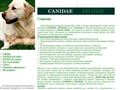 CANIDAE в Беларусии, корма для собак, корма для кошек, сухой корм, корма для животных, купить корм